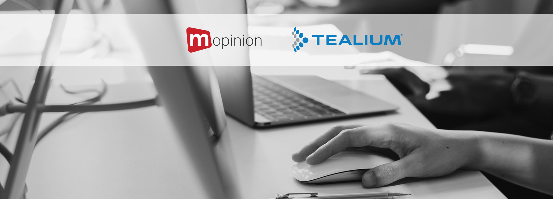 Tealium and Mopinion: the newest data power couple