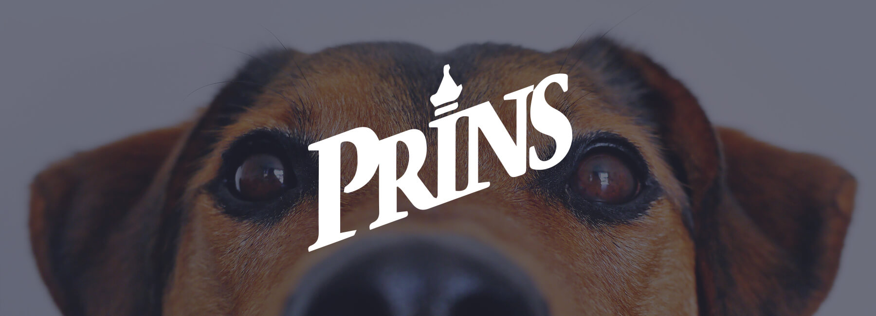 Prins Petfoods verbessert Online-Kundenreise mit Mopinion