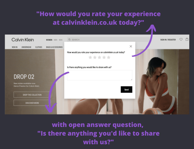 Calvin Klein homepage survey