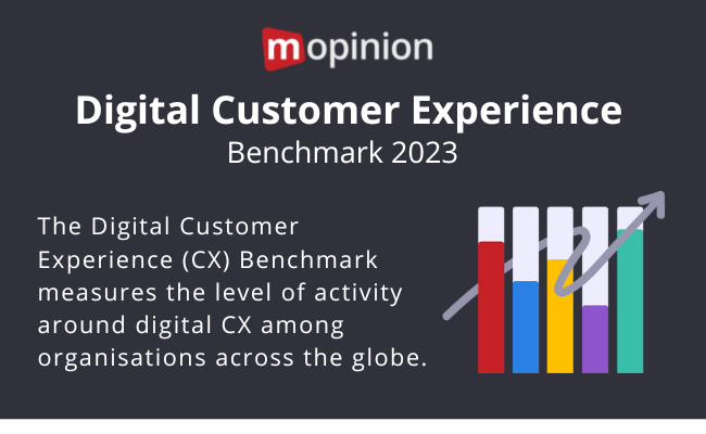 What is the Digital CX Benchmark?