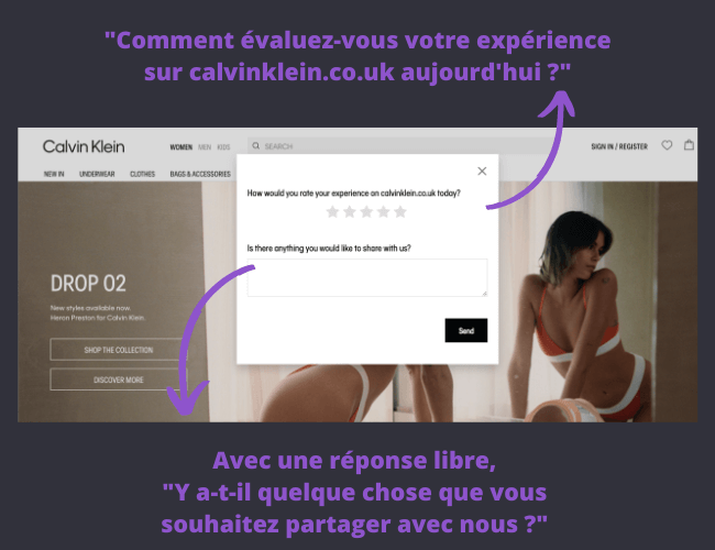 Ecommerce survey question Calvin Klein French