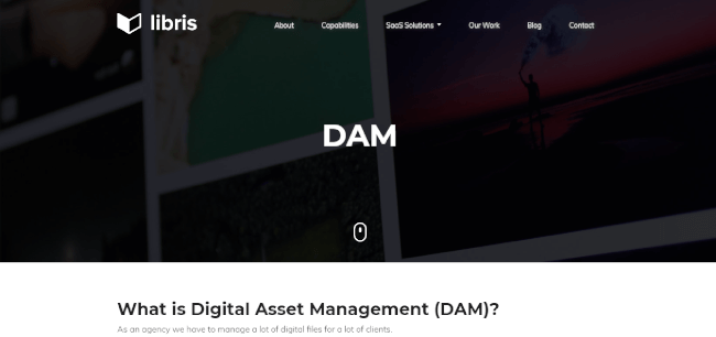 Mopinion: Top 20 Digital Asset Management (DAM) Software - Libris DAM